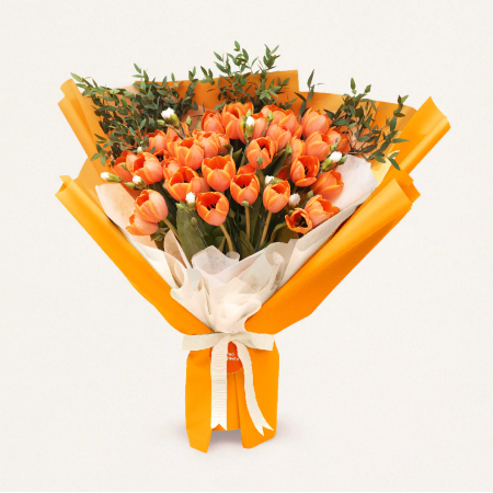 Tulip Kuning Holland