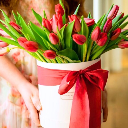 Tulip Merah Valentine